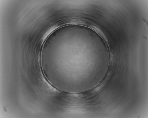 X0000103140855200808221214