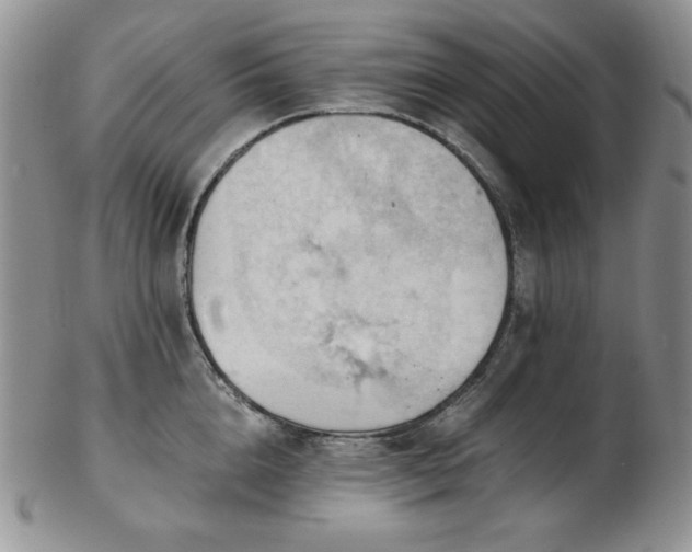 X0000103140856200808221214