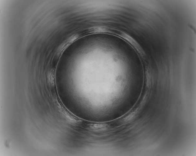 X0000103140857200808221214