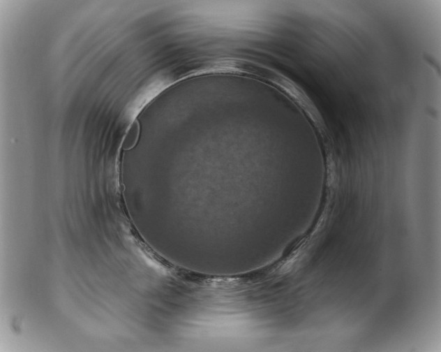 X0000103140858200808221214