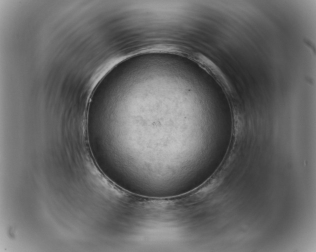 X0000103140860200808221214