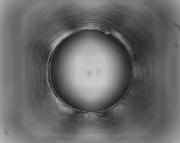 X0000103140861200808221214