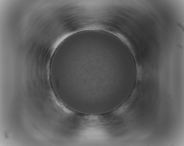 X0000103140862200808221214