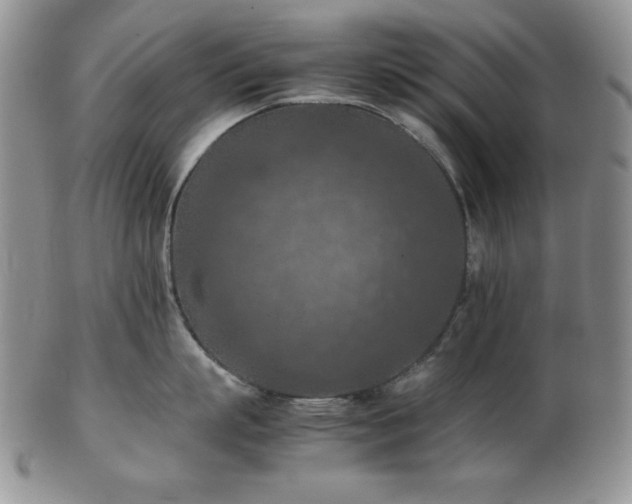 X0000103140863200808221214