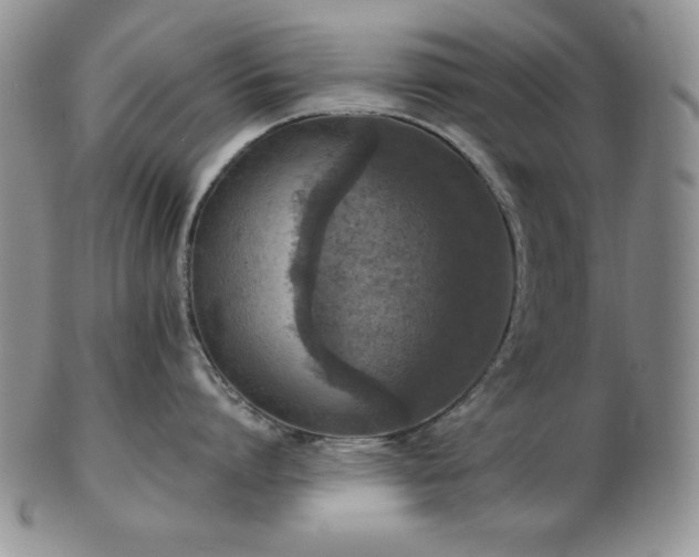 X0000103140864200808221214