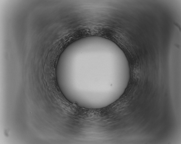 X0000103140865200808221214