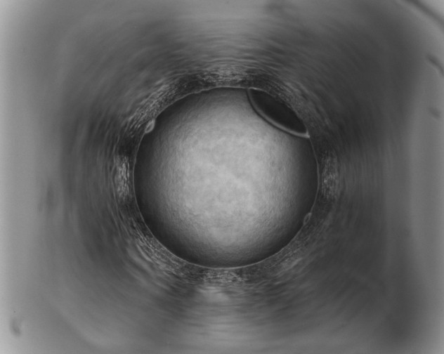 X0000103140866200808221214