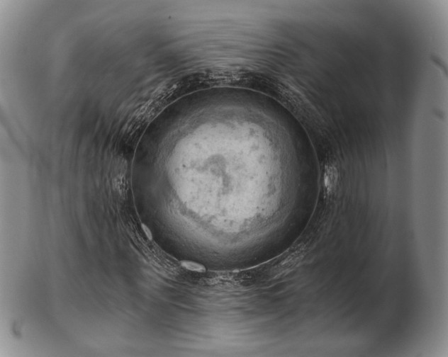 X0000103140867200808221214