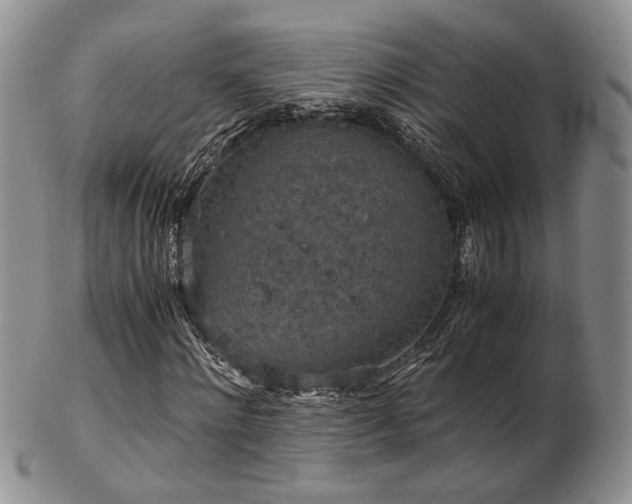 X0000103140868200808221214