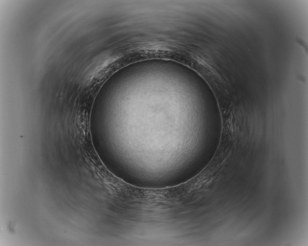 X0000103140870200808221214