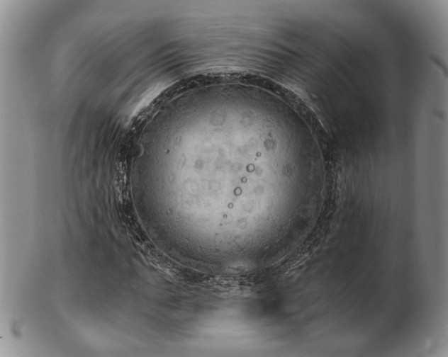 X0000103140871200808221214