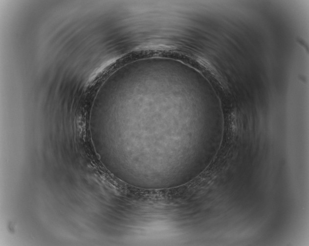 X0000103140872200808221214