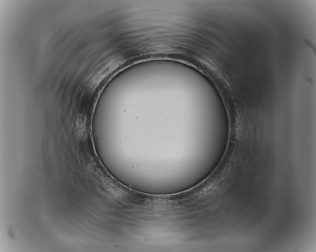 X0000103140873200808221214