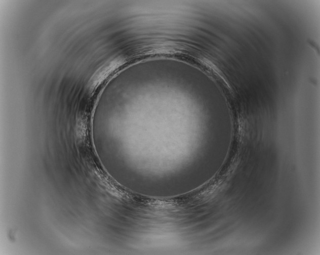 X0000103140874200808221214