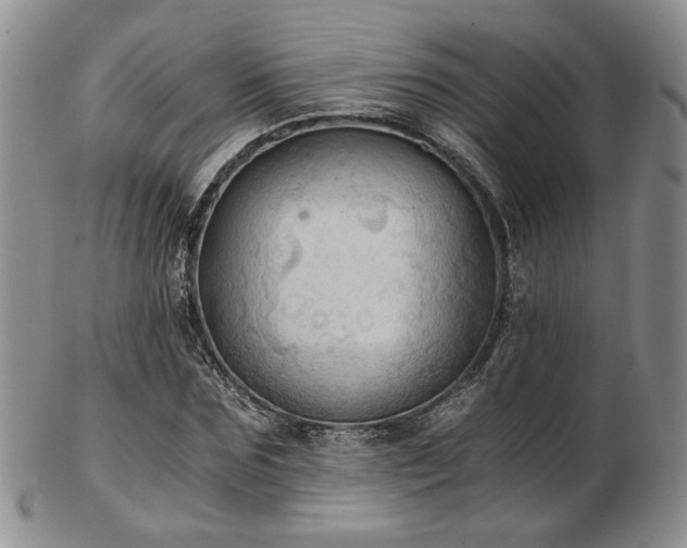 X0000103140875200808221214