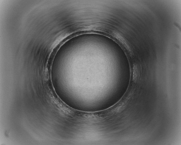 X0000103140876200808221214