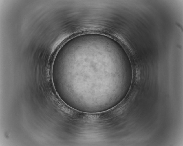 X0000103140878200808221214