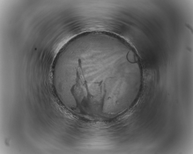 X0000103140879200808221214