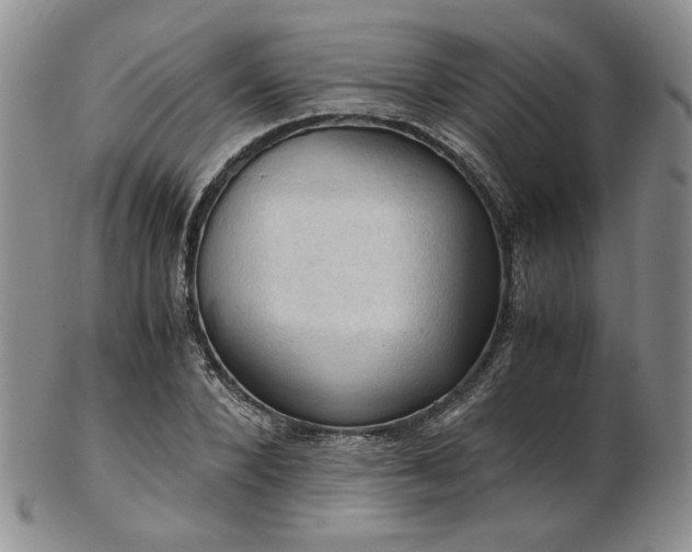 X0000103140880200808221214