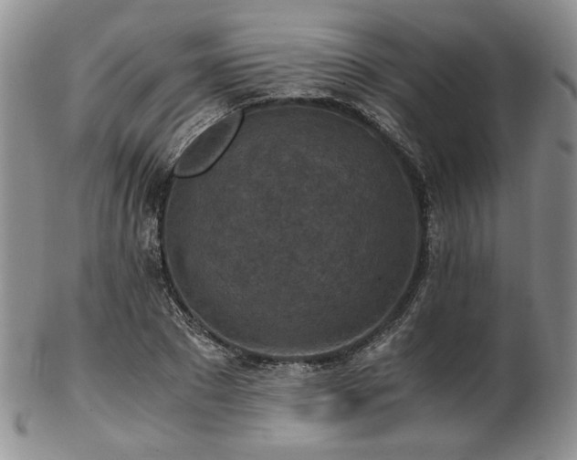 X0000103140881200808221214