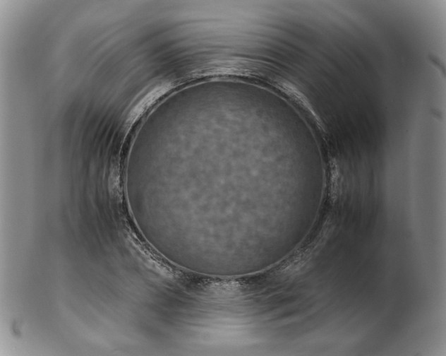 X0000103140882200808221214