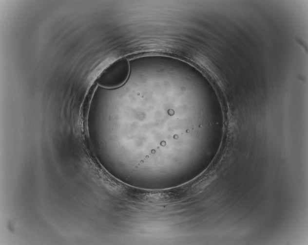 X0000103140883200808221213