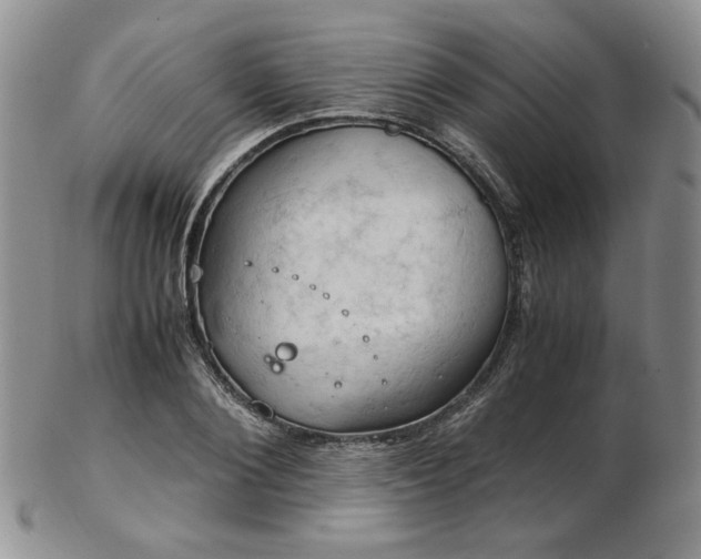 X0000103140884200808221213