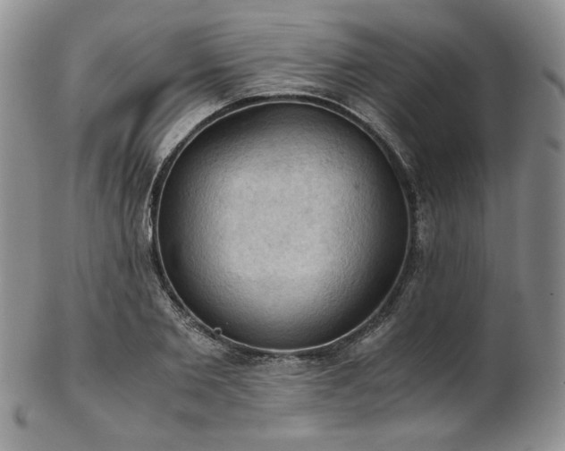 X0000103140885200808221213