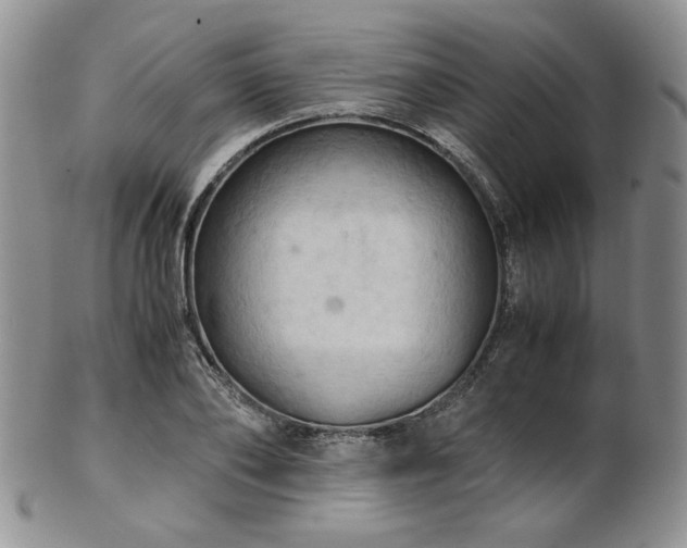 X0000103140886200808221213