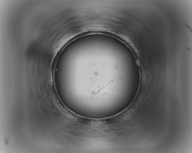 X0000103140887200808221213