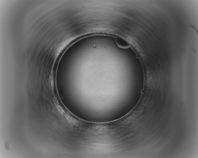 X0000103140888200808221213