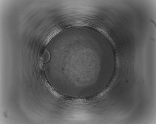 X0000103140889200808221213