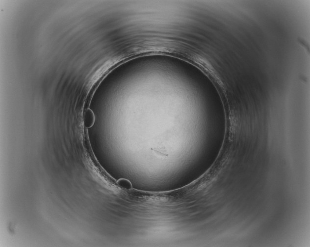 X0000103140890200808221213