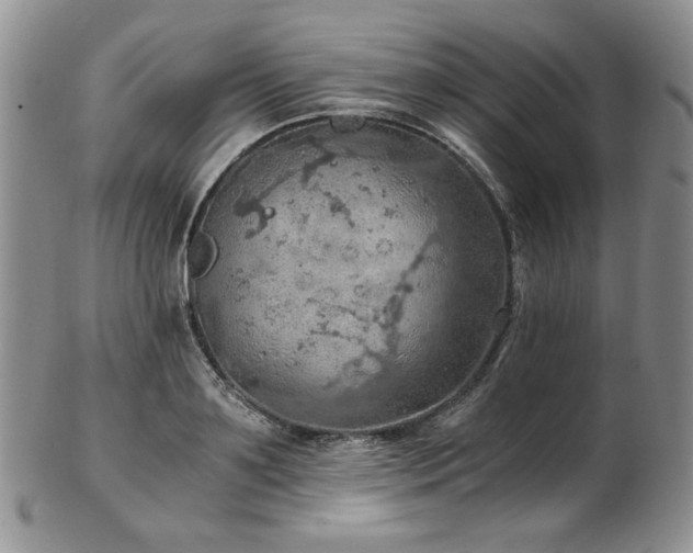 X0000103140891200808221213