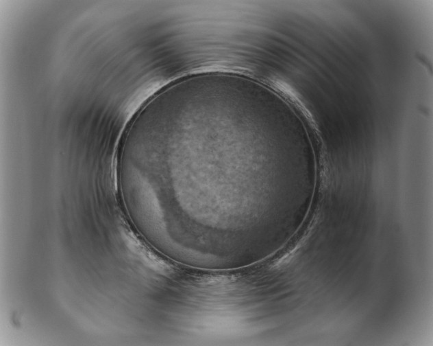 X0000103140892200808221213