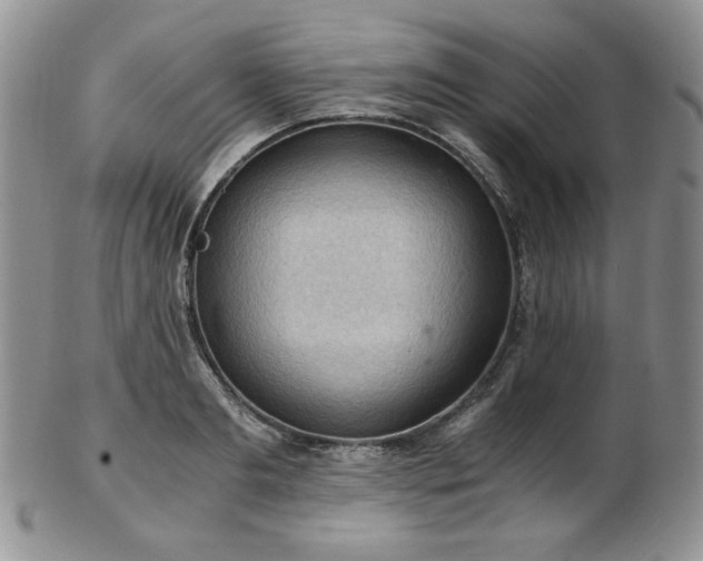 X0000103140893200808221213