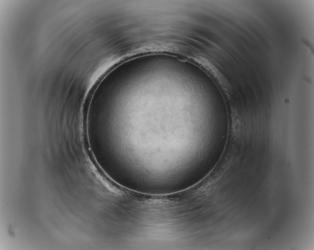 X0000103140894200808221213