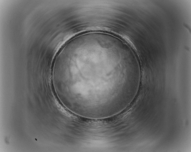 X0000103140895200808221213