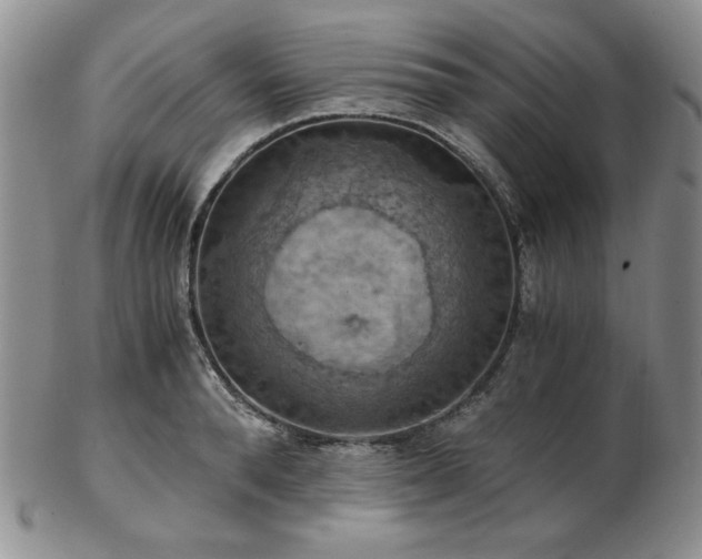 X0000103140896200808221213