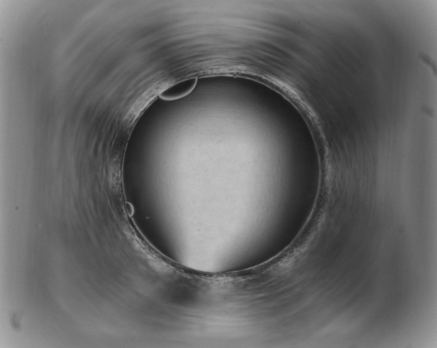 X0000103140897200808221213