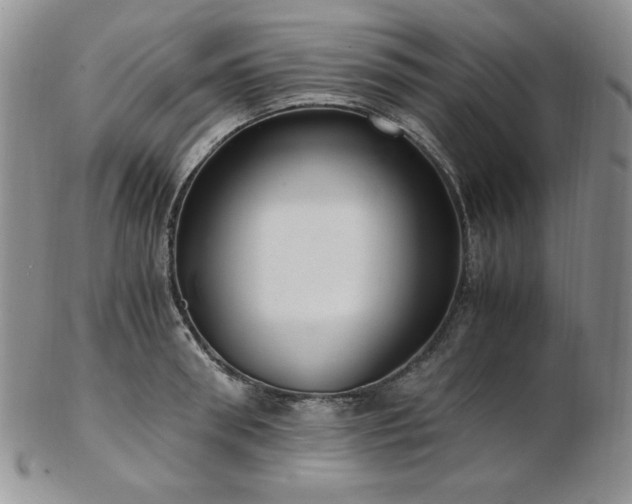 X0000103140898200808221213