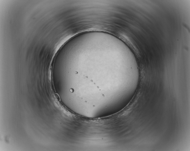 X0000103140900200808221213