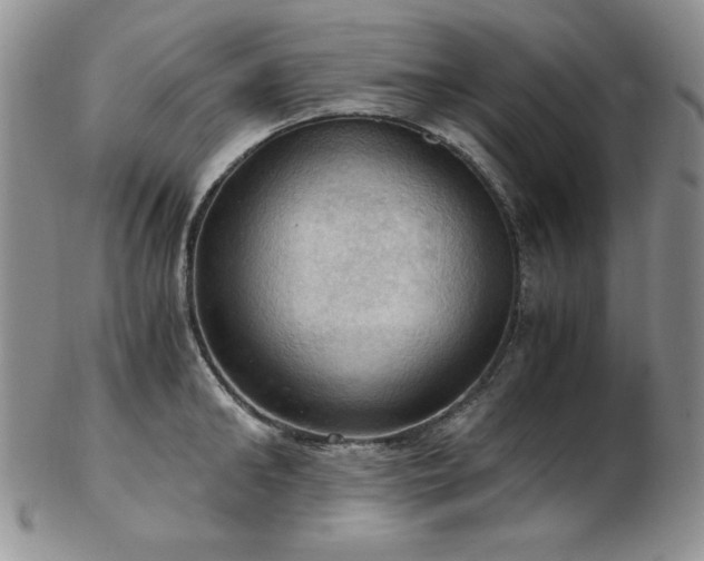 X0000103140902200808221213