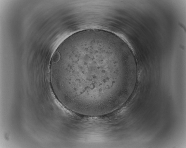 X0000103140903200808221213