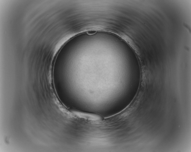 X0000103140904200808221213