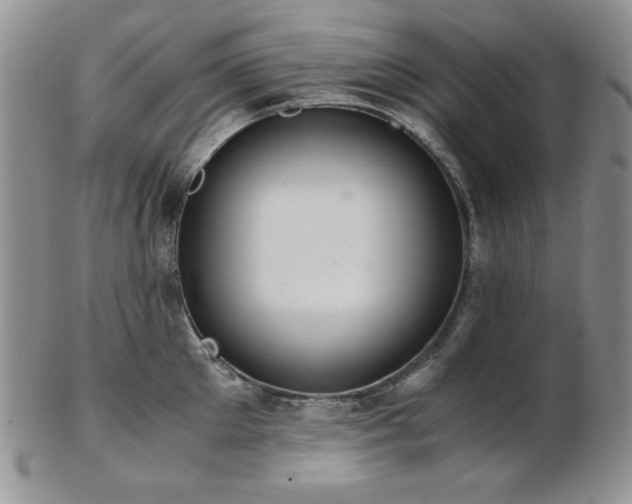 X0000103140905200808221213