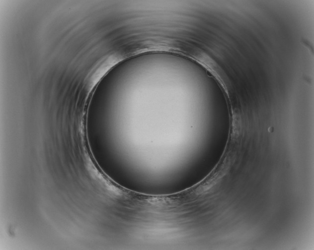 X0000103140906200808221213