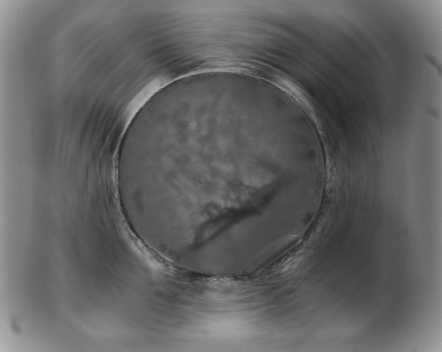 X0000103140907200808221213