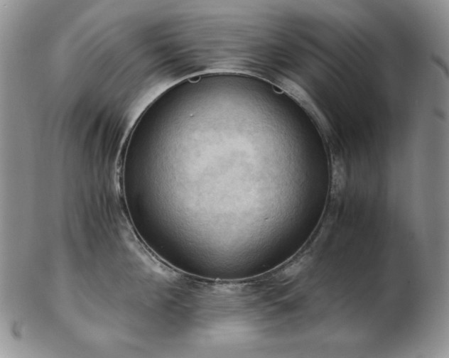 X0000103140908200808221213