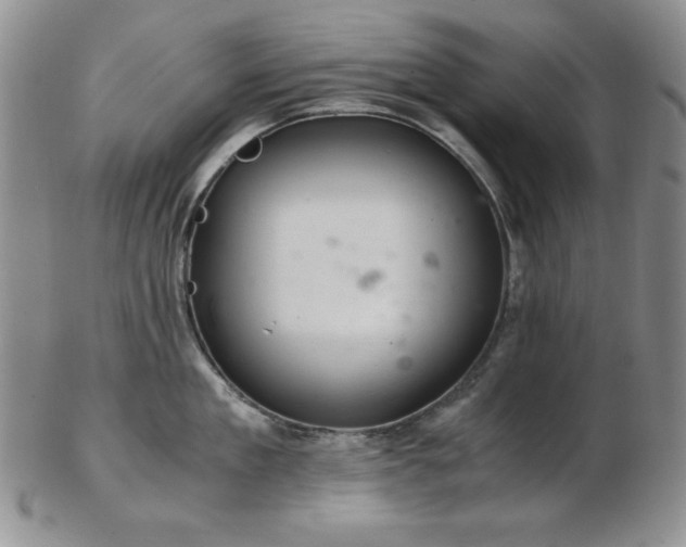 X0000103140909200808221213